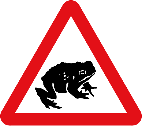 Migratory toad crossing