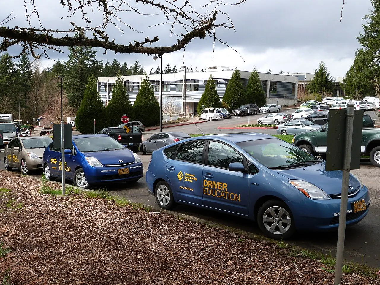 Driver education cars parked in a row at a college campus in Portland, Oregon
