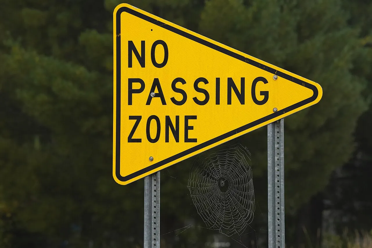 Yellow pennant-shaped NO PASSING ZONE sign on two metal posts with a spider web strung below it, St. Louis County, Minnesota