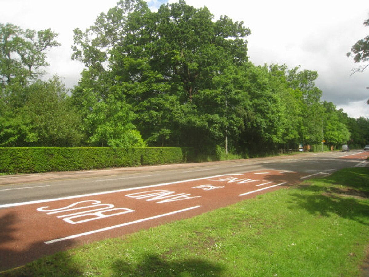 Bus lane and cycle marking on an urban road, the type of feature that defines inner-London test routes