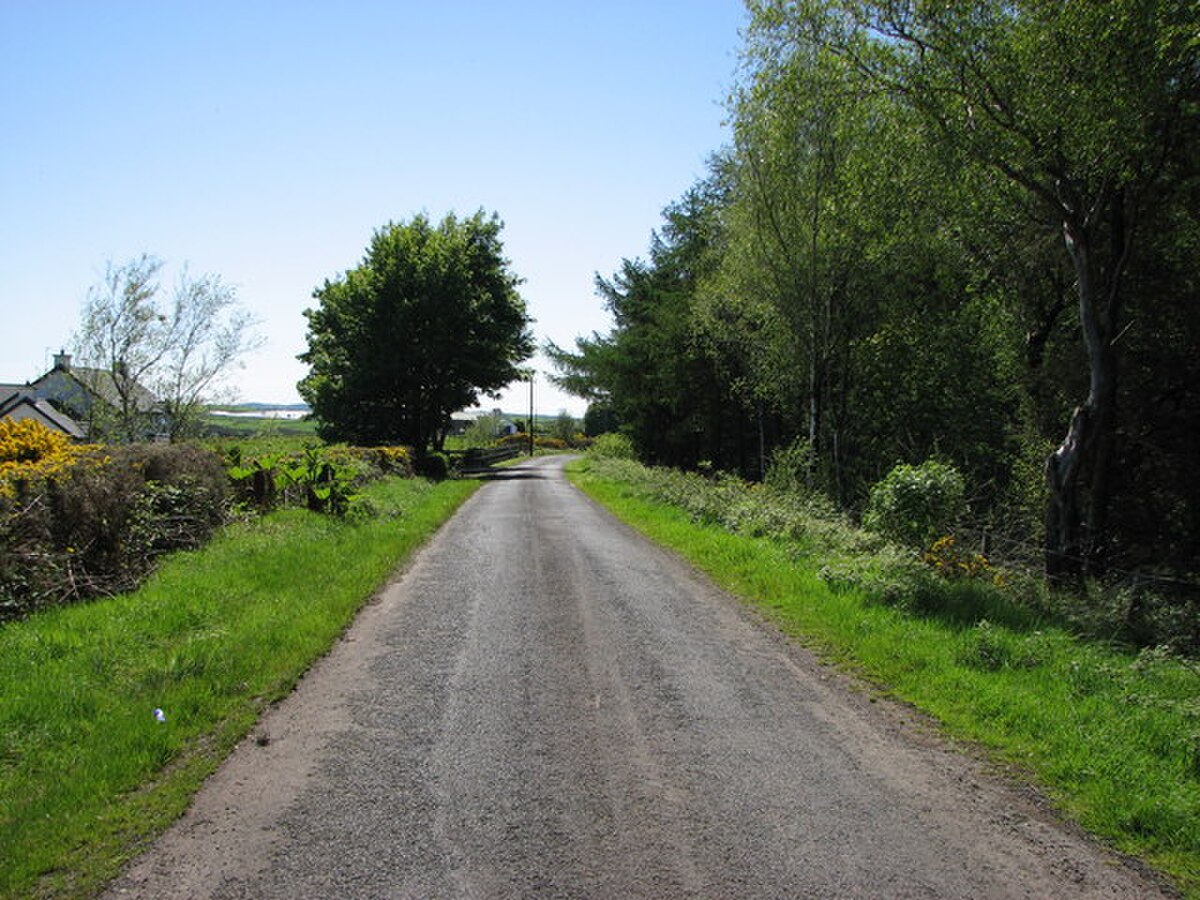Narrow UK country lane -- the rural module covers blind bends, farm vehicles and limited-width passing places that the practical test rarely reaches
