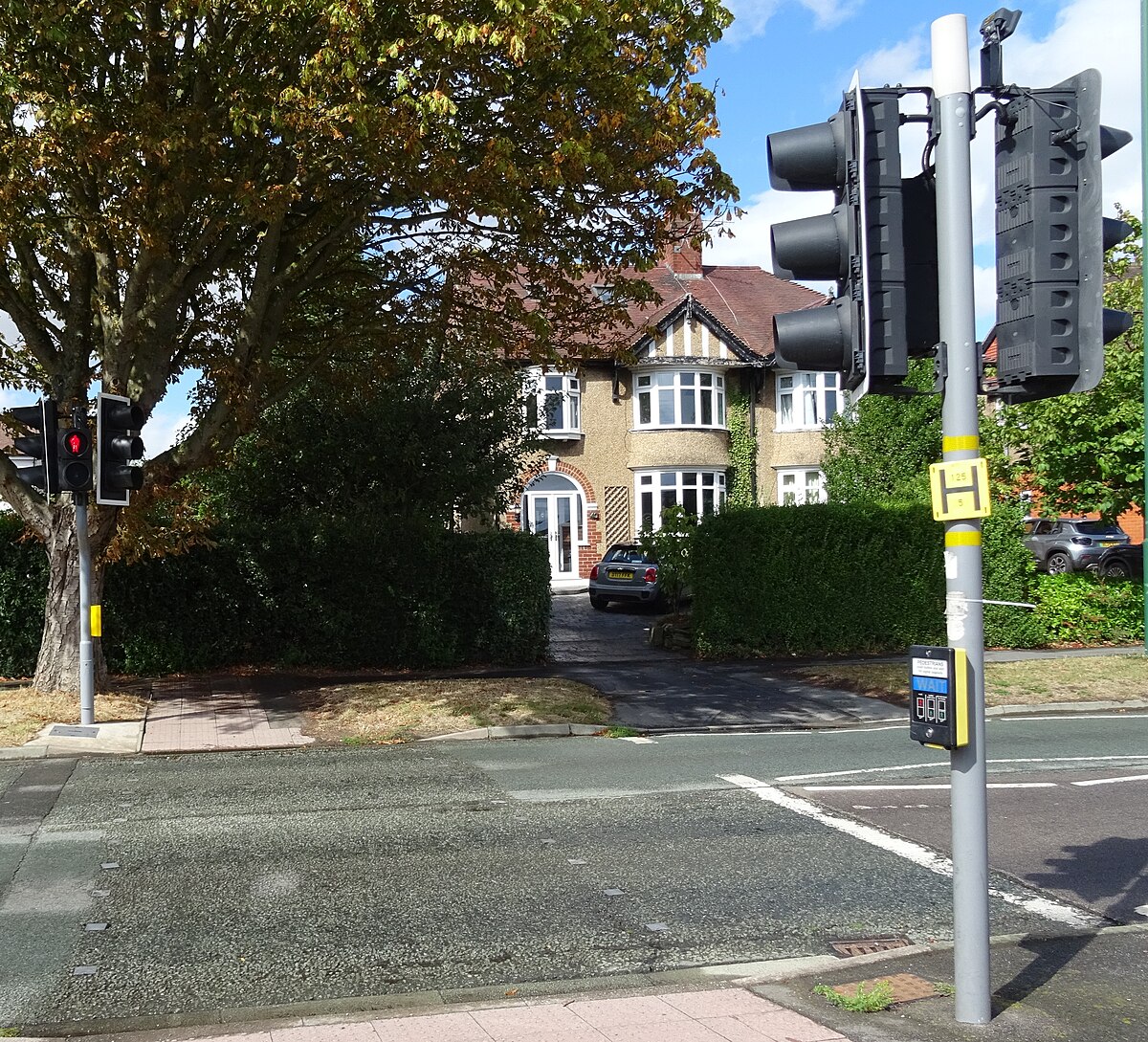 A pelican crossing on a busy UK street, the kind of pedestrian-priority feature Manchester routes layer on top of tram and bus rules