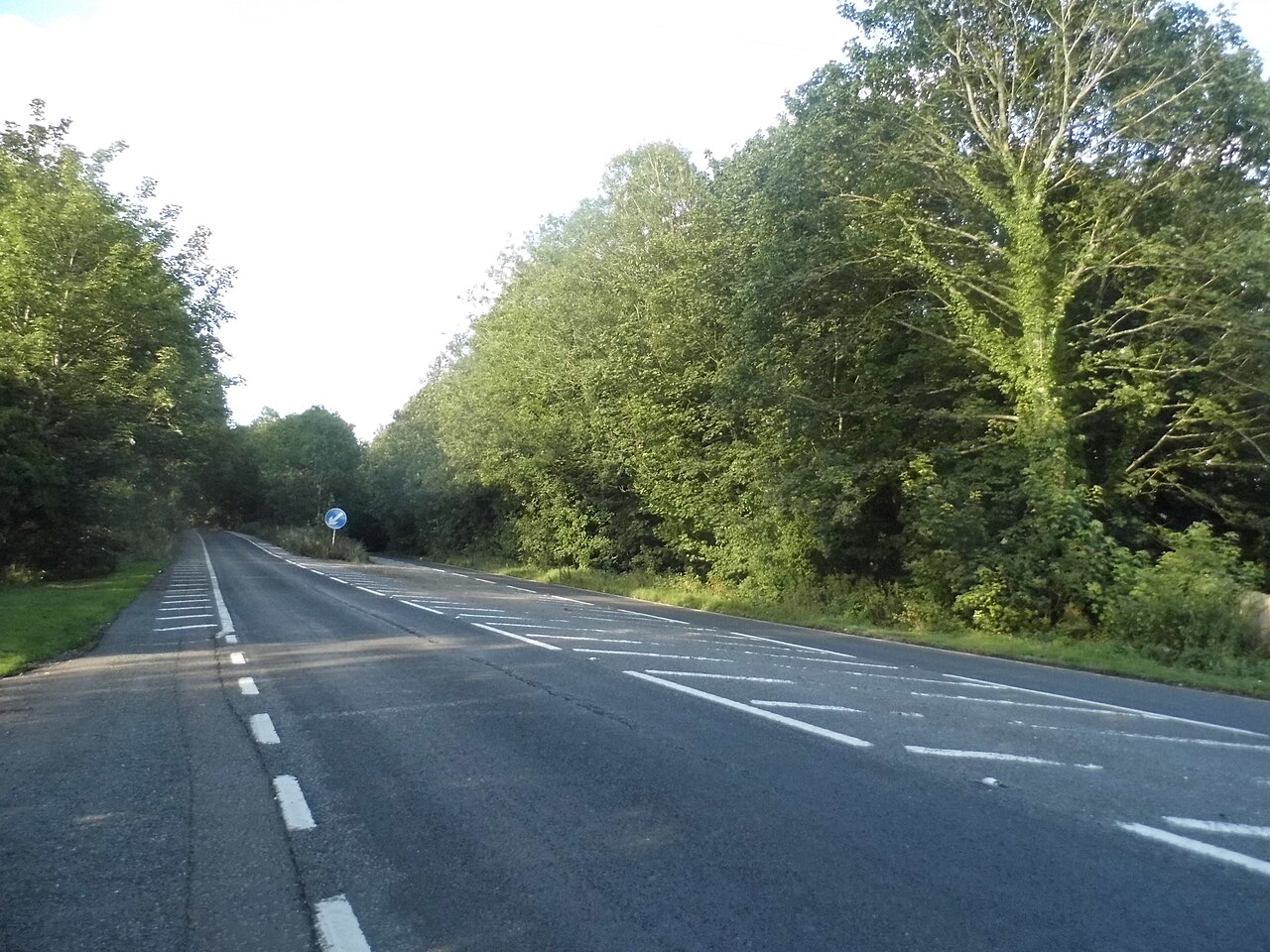A UK dual carriageway, among the road types and speed limits visitors meet first